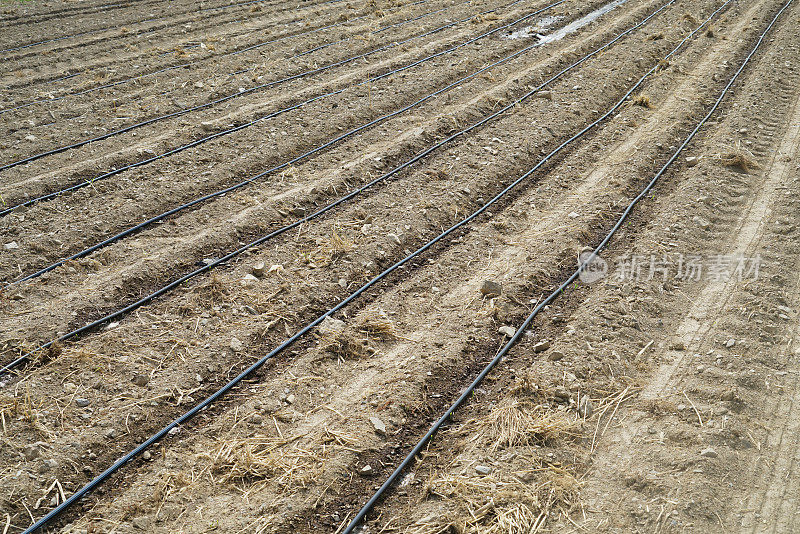 春田农场采用节水灌溉系统