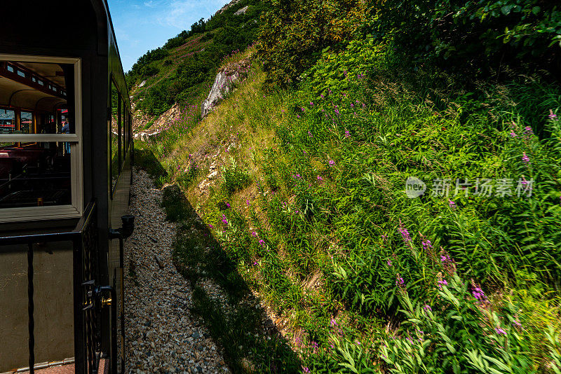 美国阿拉斯加州怀特山口山顶游览列车。