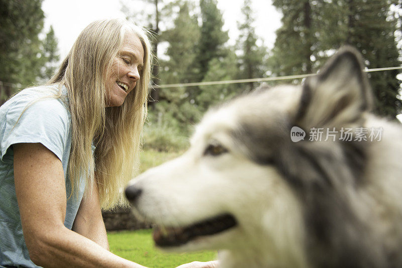 一名妇女梳理她的雪橇犬的画像