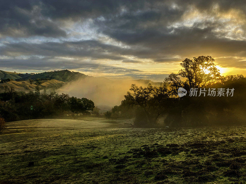 白玉兰牧场地区公园，科洛马，CA