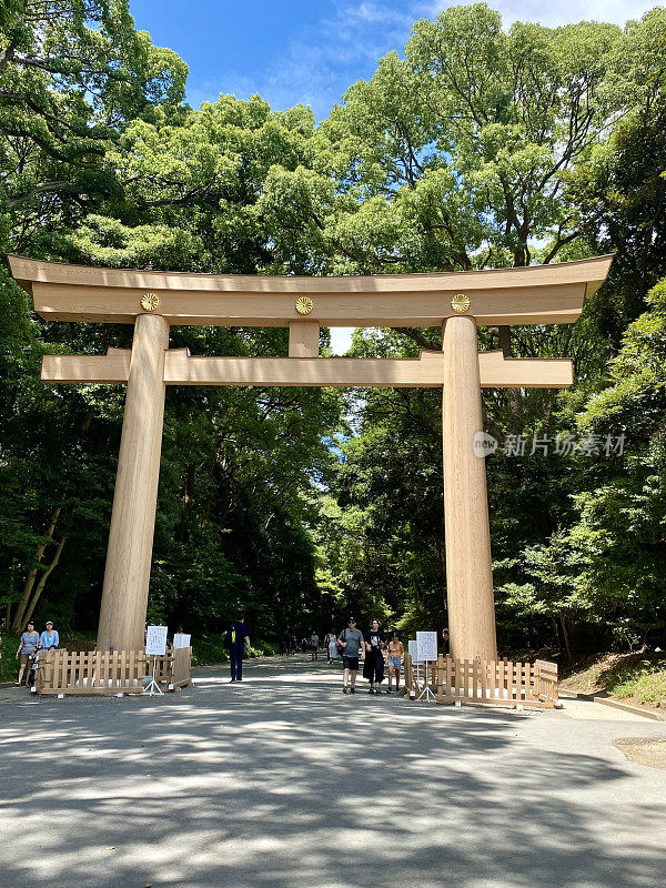 日本-东京-新宿和涩谷之间的明治神宫和寺庙