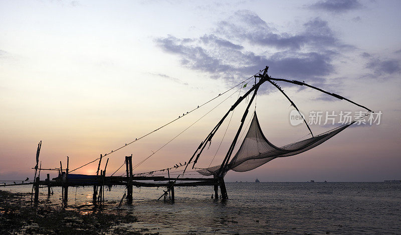 中国渔网，日落，科钦堡，喀拉拉邦，印度