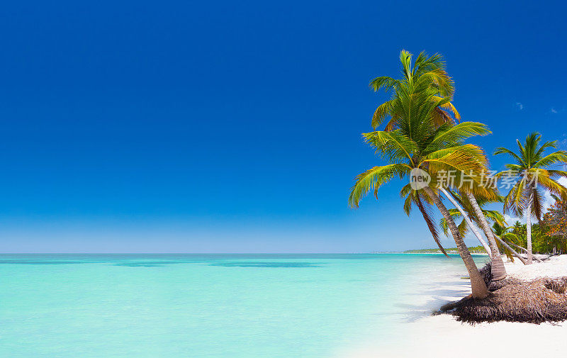 多米尼加共和国的热带海滩