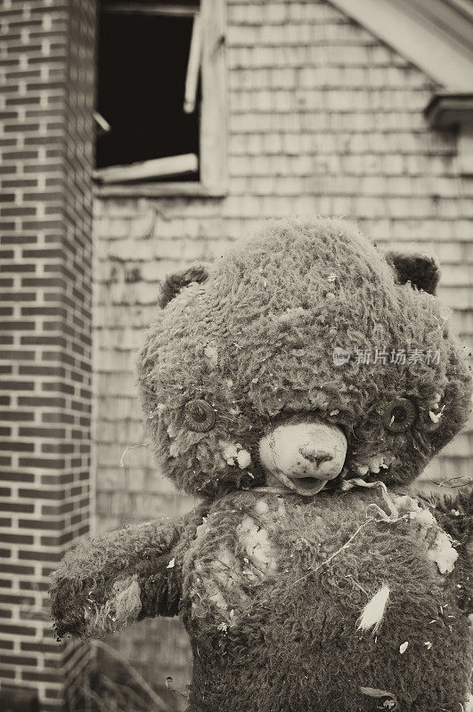 令人毛骨悚然的Teddybear