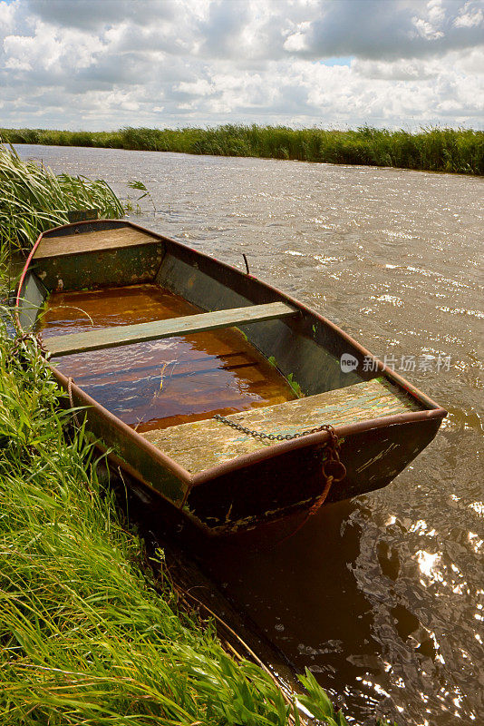 芦苇里的旧钢划艇。