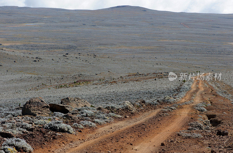 荒凉的道路，贝尔山脉，埃塞俄比亚
