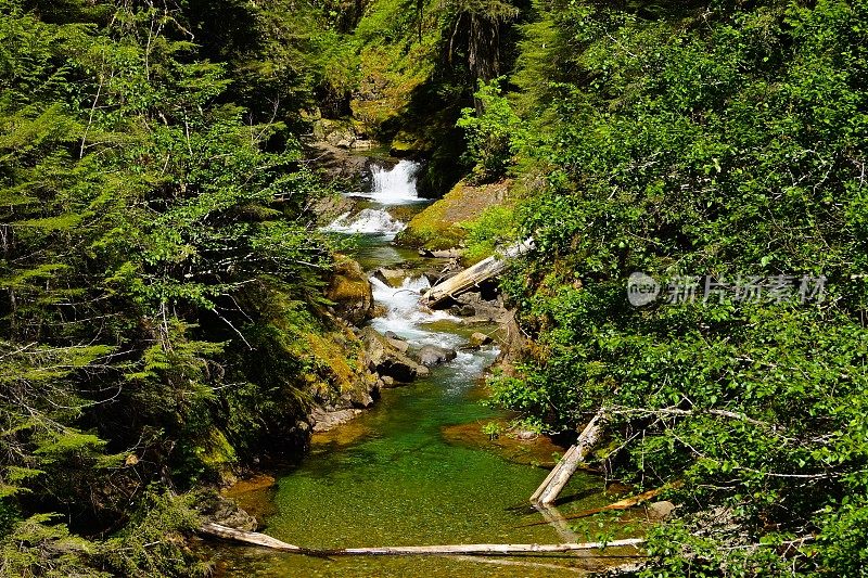 雷尼尔绿溪山