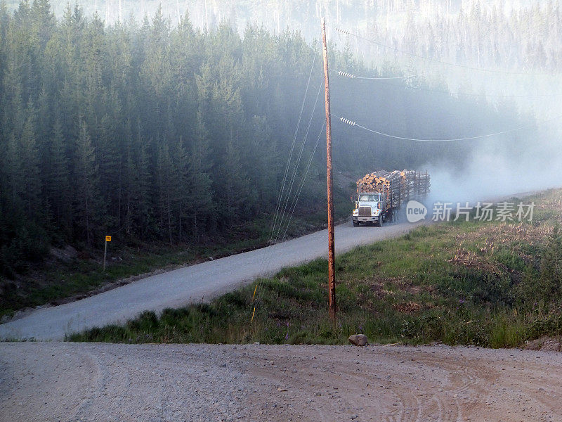 尘土飞扬的伐木道路