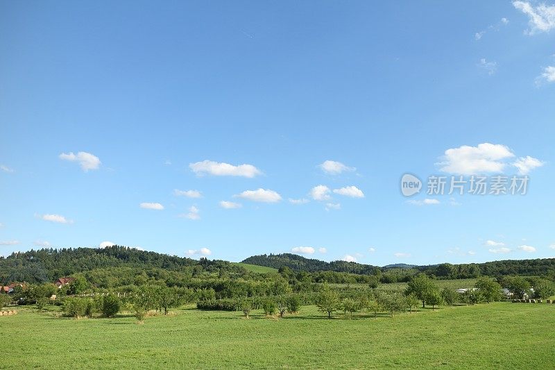 夏日的景色有草地和起伏的山丘黑森林