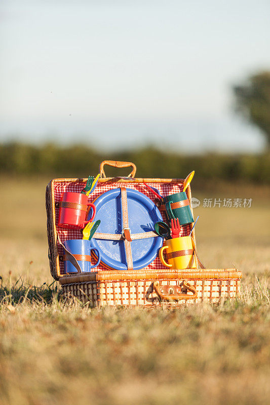 草地上的野餐篮