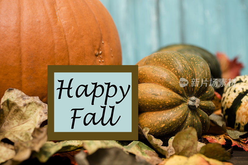 秋天的快乐!秋天的中心装饰品用橙色的南瓜、树叶装饰。