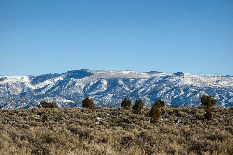 雪松城山