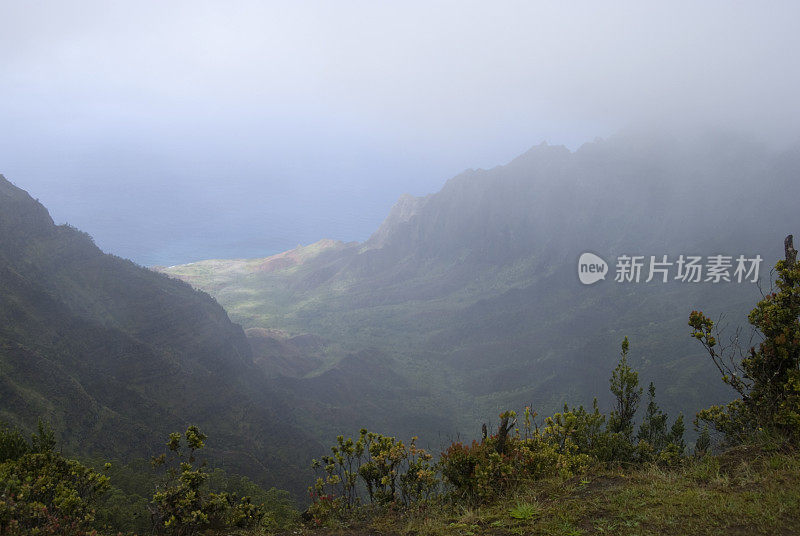 威美亚峡谷-夏威夷考艾岛