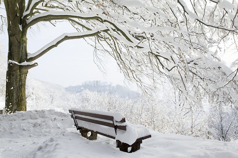 冬季美景与公园长椅下的雪树