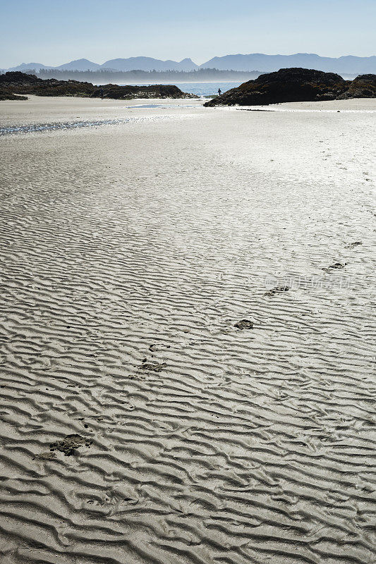 温哥华岛沙滩上的脚印