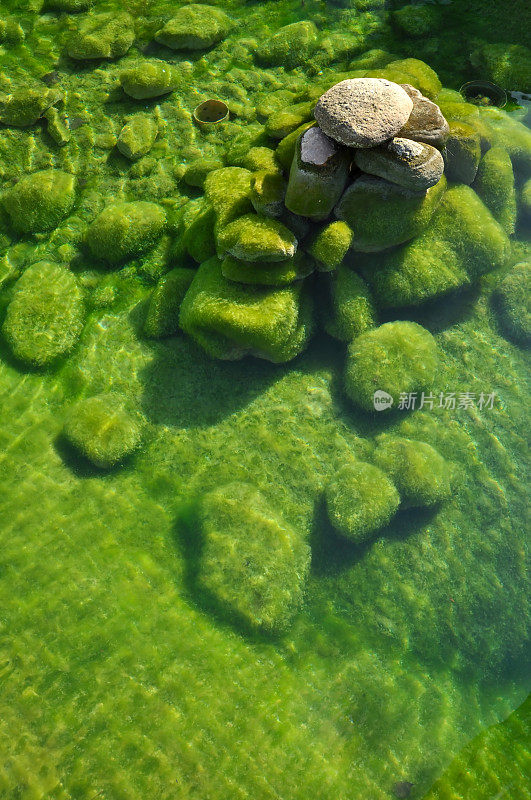 水底长满绿色苔藓的石头