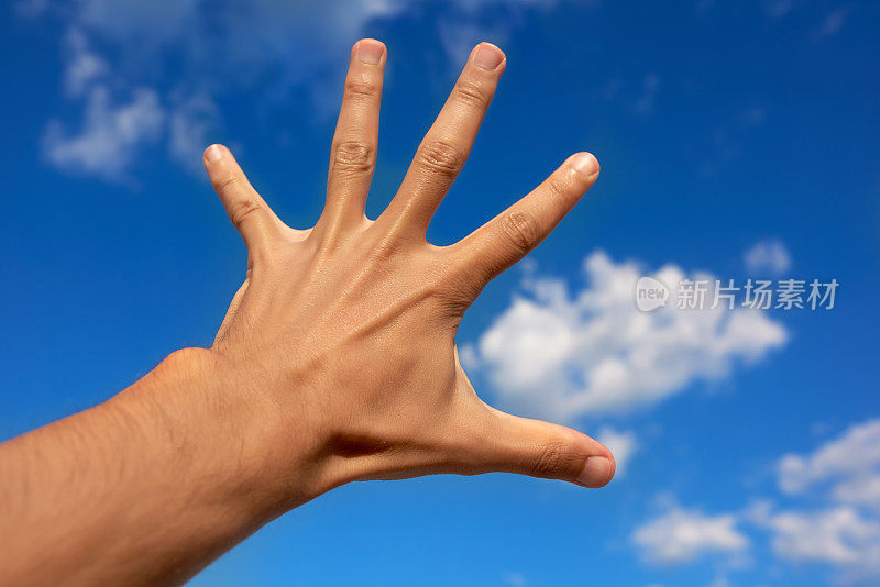 五个手指