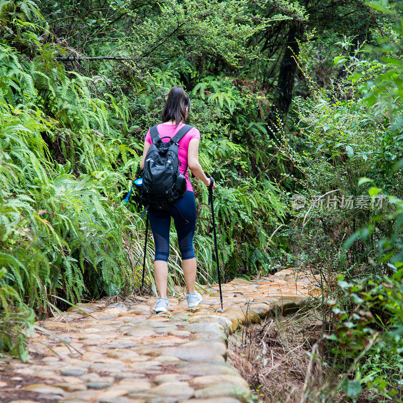 在树林里背着背包的年轻女性徒步旅行者