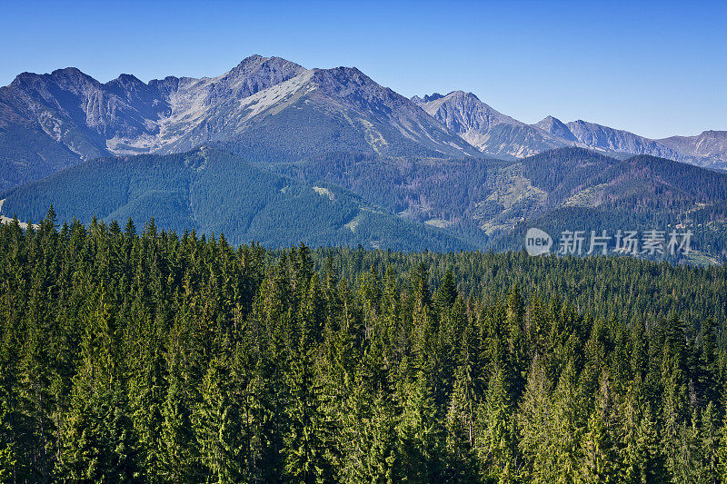 夏季塔特拉山脉景观