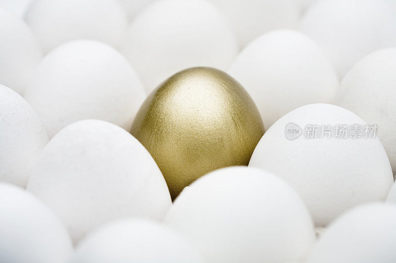 白鸡蛋中有金蛋