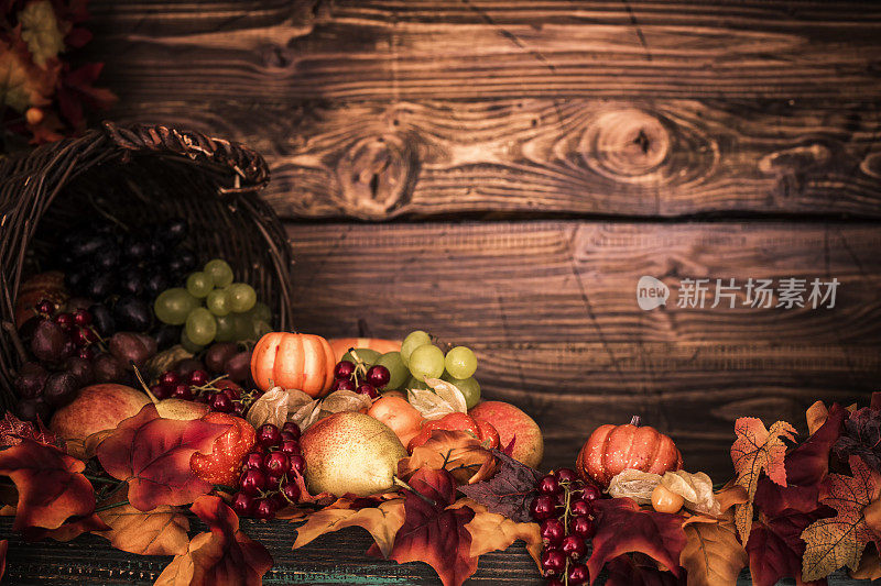 秋天装饰背景与树叶