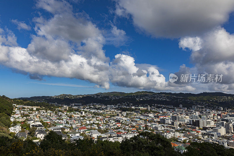 新西兰惠灵顿的高架风景