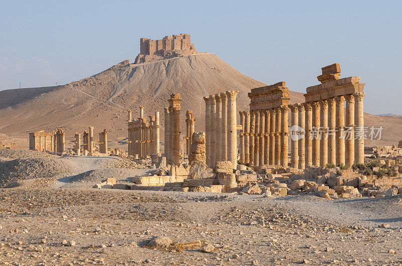 叙利亚巴尔米拉的巴尔米拉废墟
