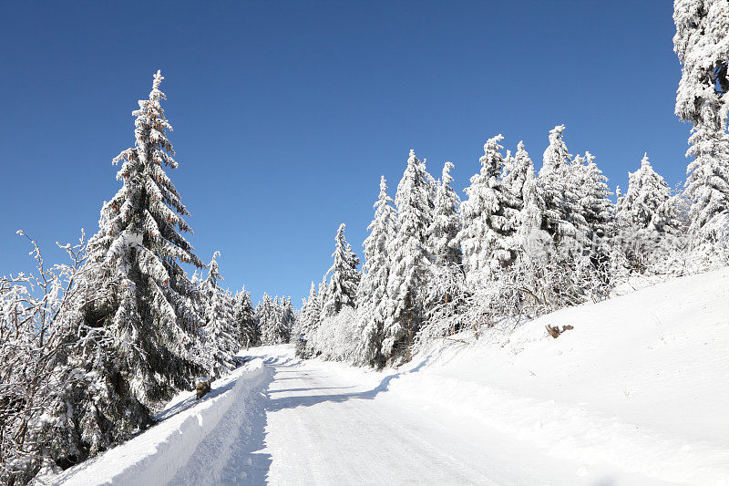 冬天的雪景，阳光和街道