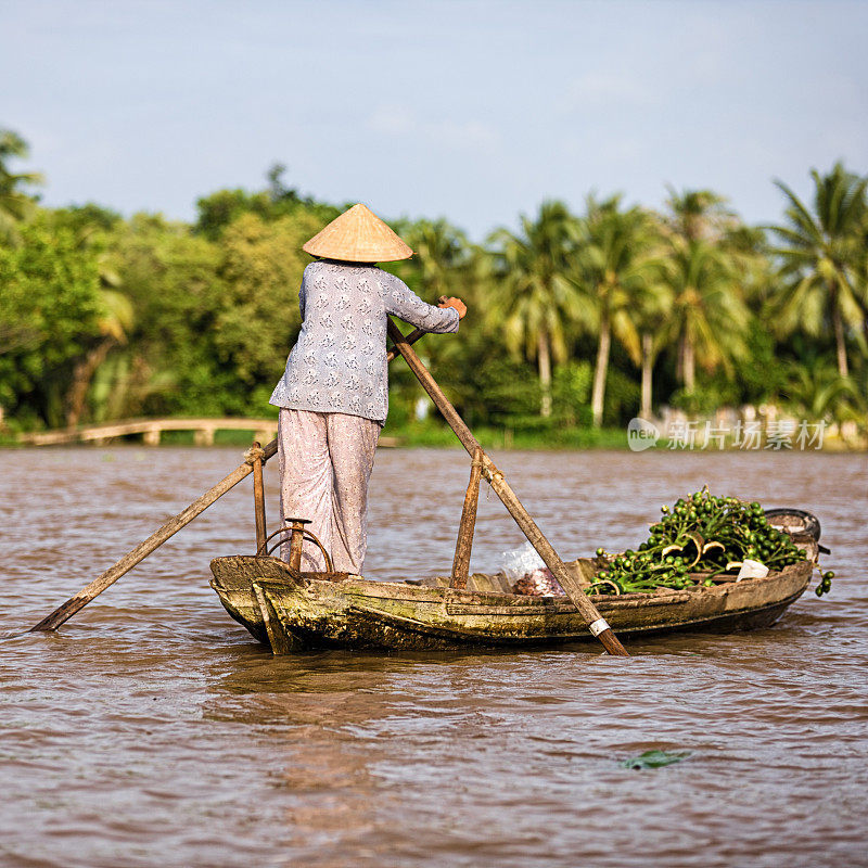 一名越南妇女在越南湄公河三角洲划船