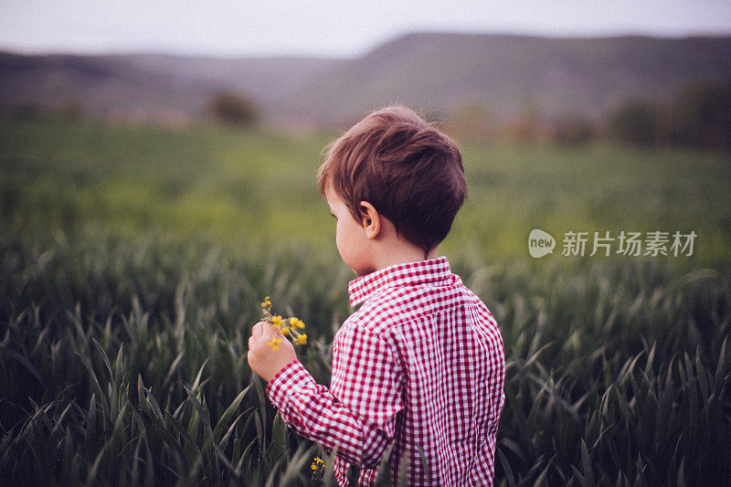 草地上的男孩