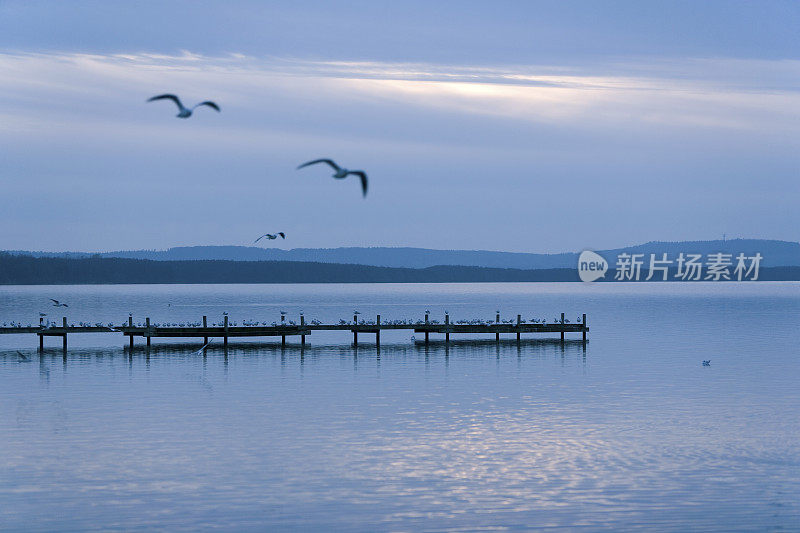 蓝色的暮色，码头和飞翔的海鸥，湖边(XL)