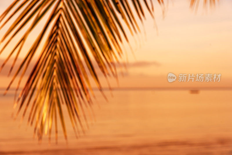 热带海滩日落模糊抽象背景