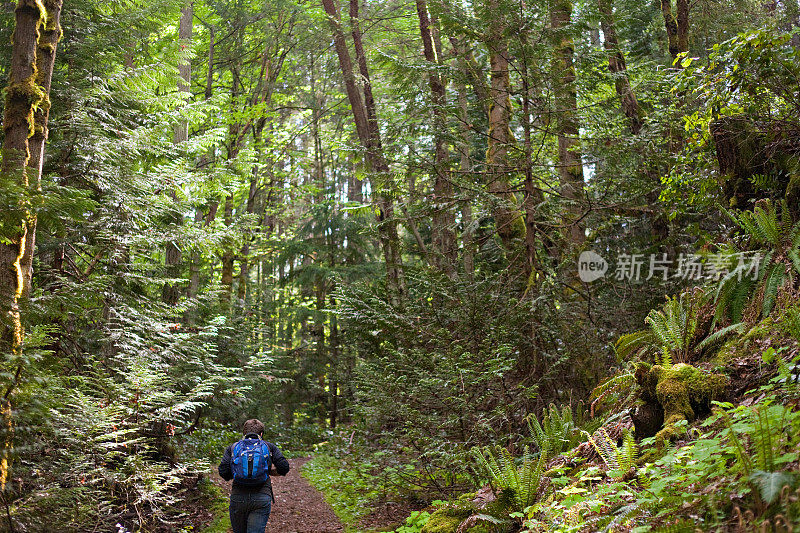 步行上山