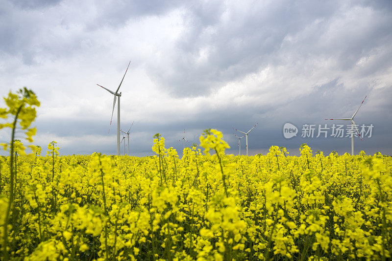 雷电风暴下的Rapsfeld和风车