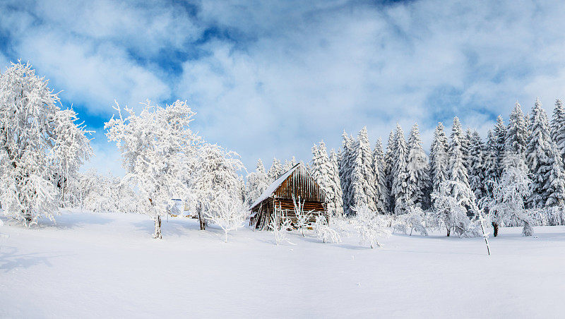 冬天山里的小屋。神秘的雾。期待假期的到来。喀尔巴阡山。乌克兰,欧洲