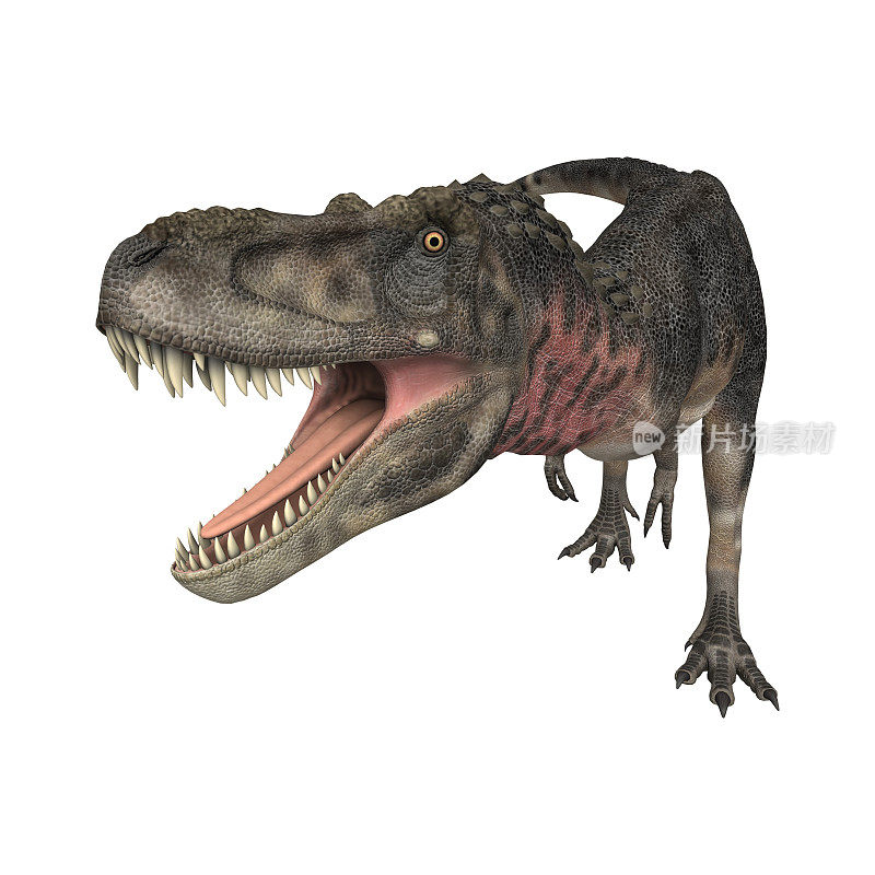 3D渲染恐龙tarbosaurus白色
