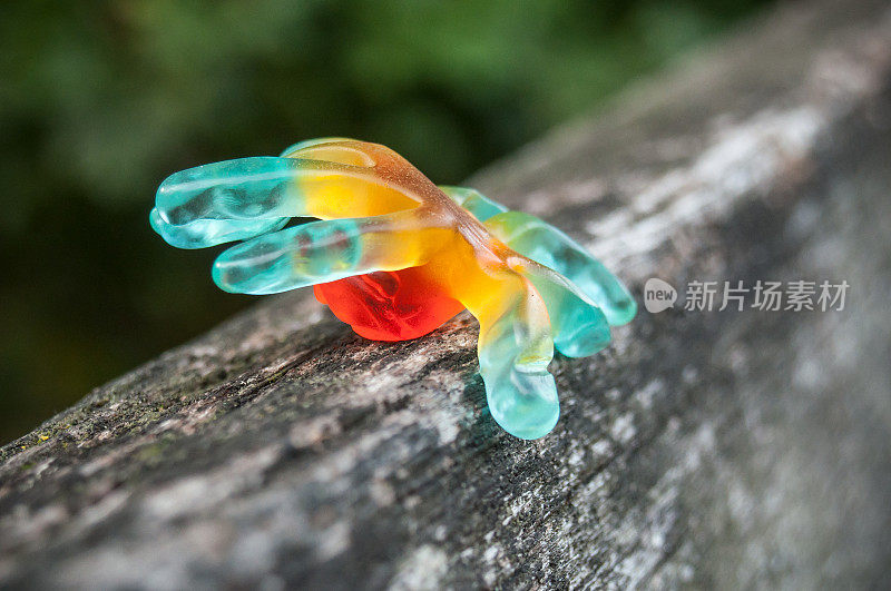 木制背景的万圣节蜘蛛形状的果冻糖果
