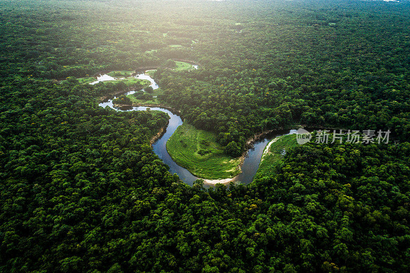 玛塔亚特兰提卡-巴西的大西洋森林