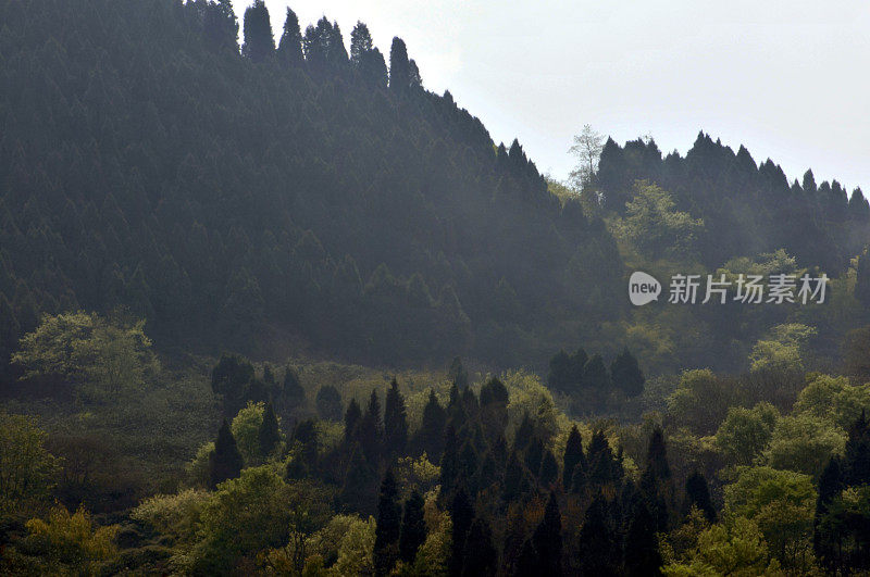 夕阳中的龙泉山