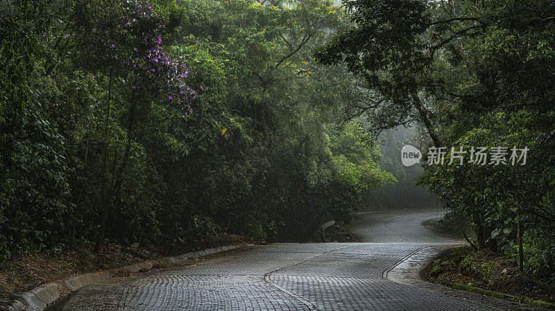 弯曲的道路，生态路面和潮湿的毛毛雨，Paraty-Cunha，巴西