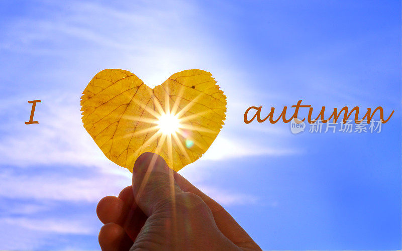 近距离拍摄的手拿黄色叶子的心形状与阳光透过它在浅蓝色的天空背景与字母我爱秋天。
