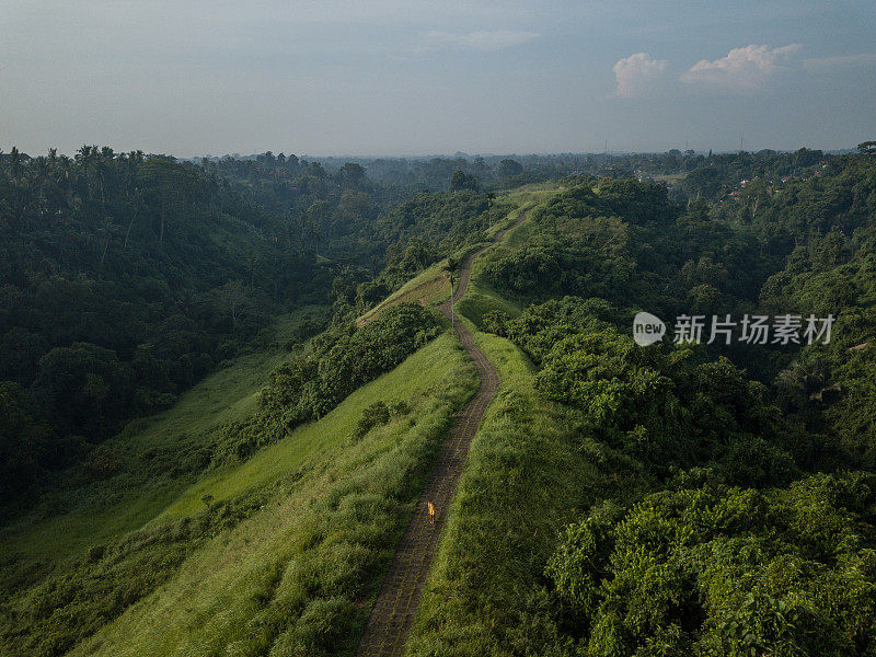 无人机拍摄航拍的年轻女子在大米自然散步，乌布-巴厘岛-人们旅游热带目的地的概念