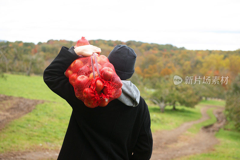 美国纽约果园采摘苹果的千禧一代扛着满满一袋苹果