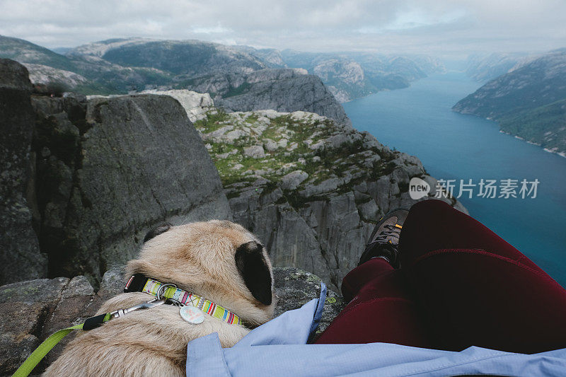 一个女人和一只狗在看挪威布道石上吕瑟峡湾的风景