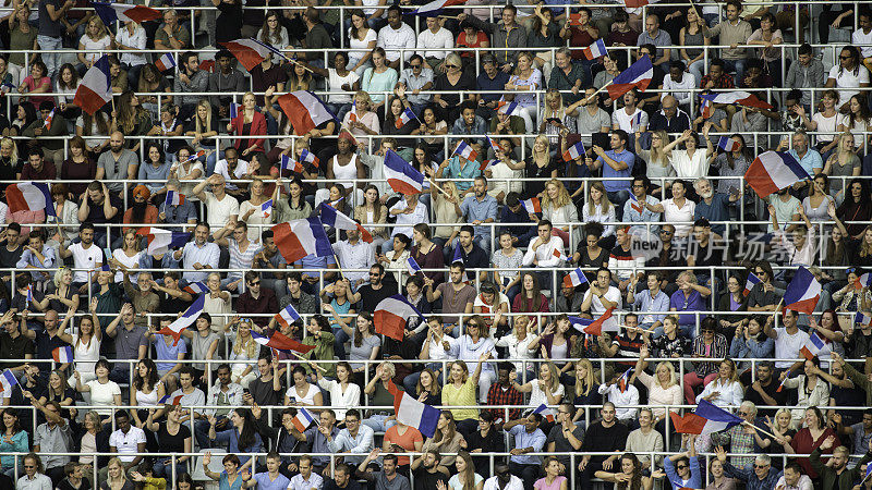 法国球迷挥舞着他们的旗帜