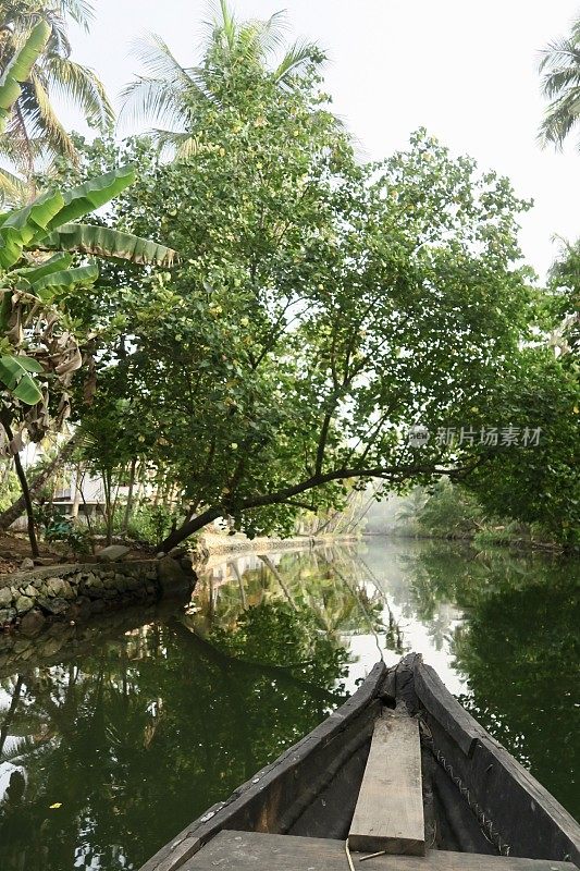 印度喀拉拉邦回水区，木船前的红树林栖息地，盐生植物景观