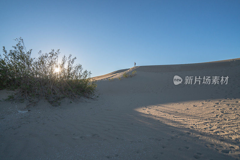 年轻女子在沙丘上凝视美丽的风景在日落