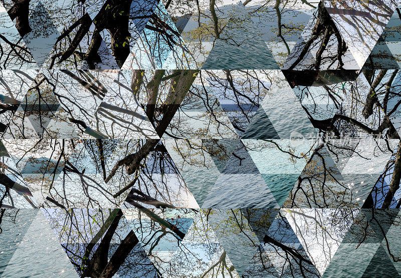 抽象的三角形镶嵌背景:奥尔塔湖树