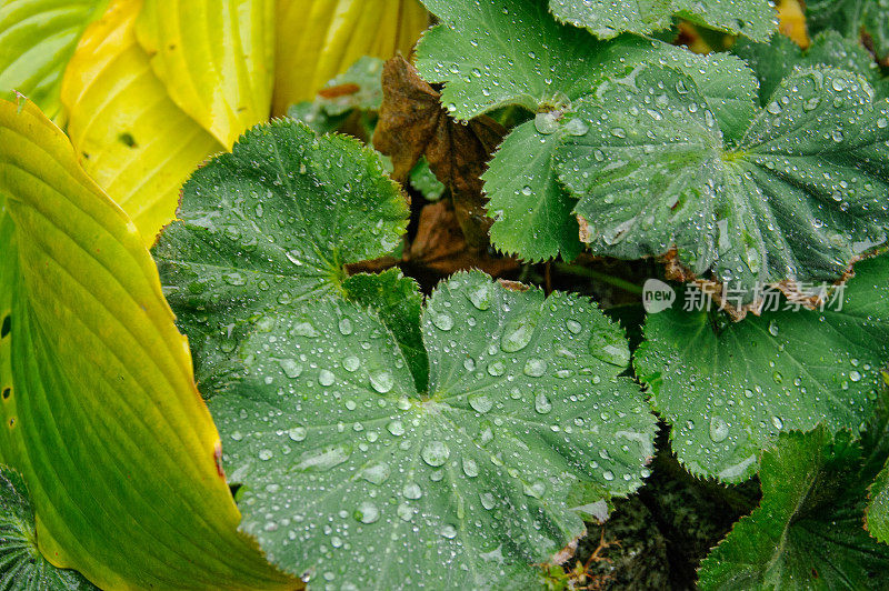 小雨打在工厂