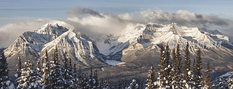 在森林中可以看到冰冻的湖泊和积雪覆盖的山脉